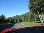 Road Sky Natural landscape Natural environment Tree